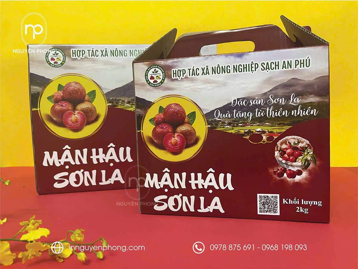 THÙNG CARTON SÓNG 3 LỚP, 5 LỚP, 7 LỚP